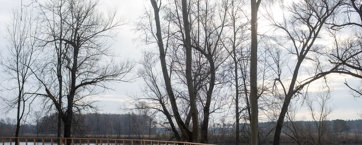 Raised timber deck