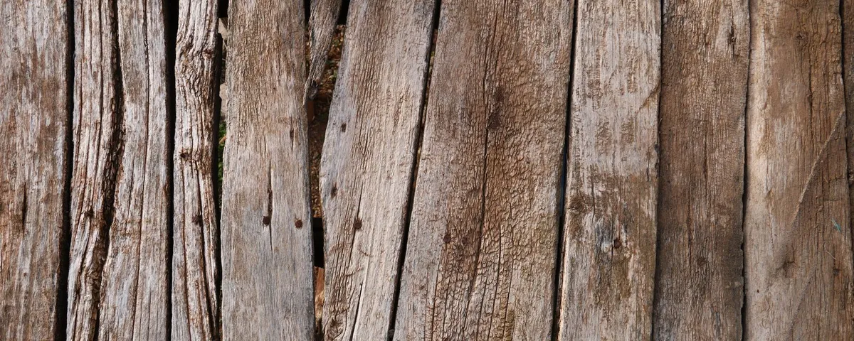 Cedar timber grain